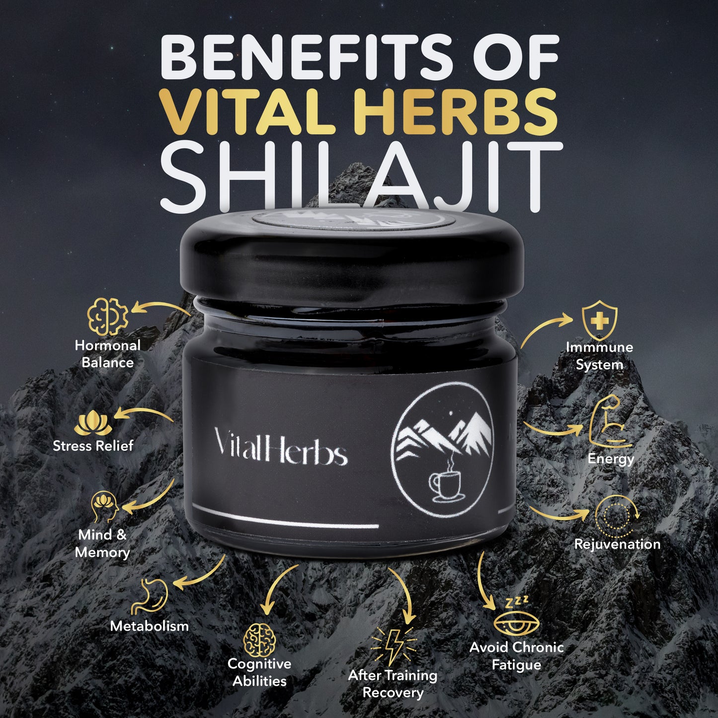 Shilajit puro y natural